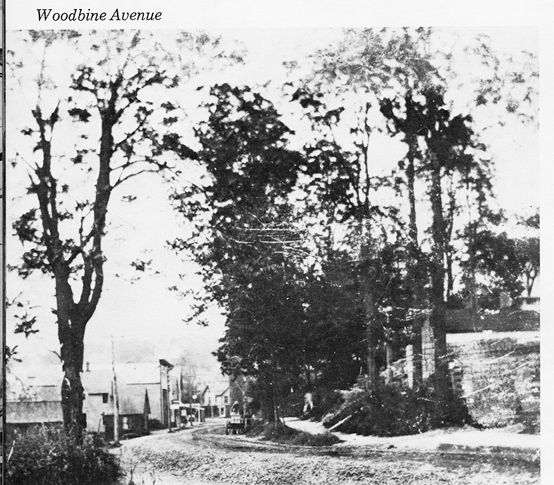 Woodbine Ave
